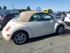 2005 Volkswagen New Beetle GLS