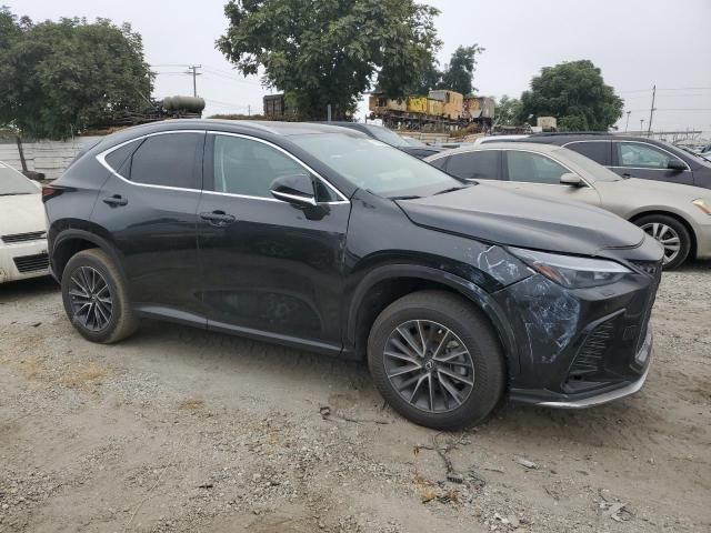 2024 Lexus NX 250 Base