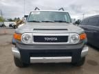 2010 Toyota FJ Cruiser