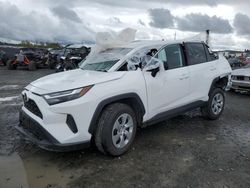 Salvage cars for sale at auction: 2023 Toyota Rav4 LE