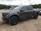 2018 Ford F150 Raptor