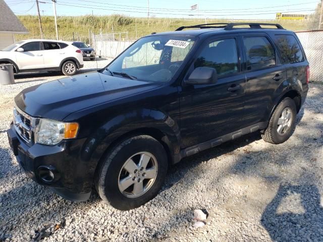 2011 Ford Escape XLT