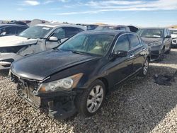 Honda salvage cars for sale: 2009 Honda Accord EXL