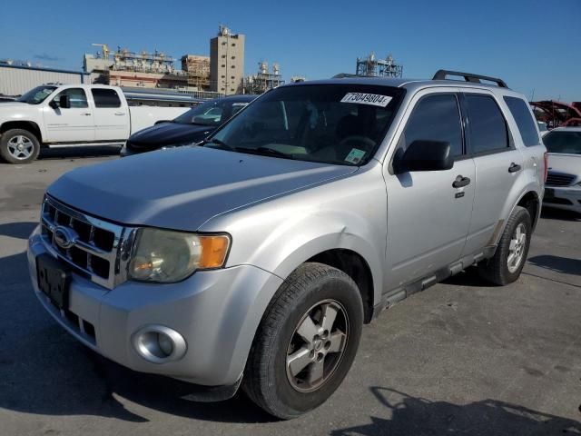 2010 Ford Escape XLT