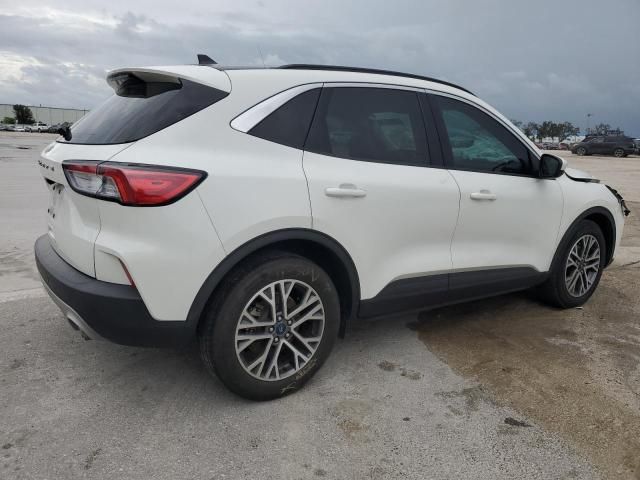 2021 Ford Escape SEL