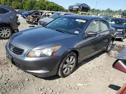 Honda salvage cars for sale: 2010 Honda Accord EX