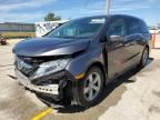 2019 Honda Odyssey EXL