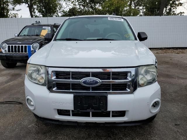 2008 Ford Escape XLT