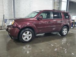 Salvage cars for sale at Ham Lake, MN auction: 2009 Honda Pilot EXL