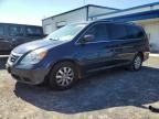 2008 Honda Odyssey EXL