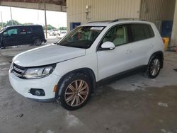 Salvage cars for sale from Copart Homestead, FL: 2016 Volkswagen Tiguan S