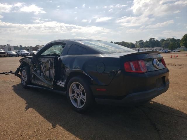 2010 Ford Mustang