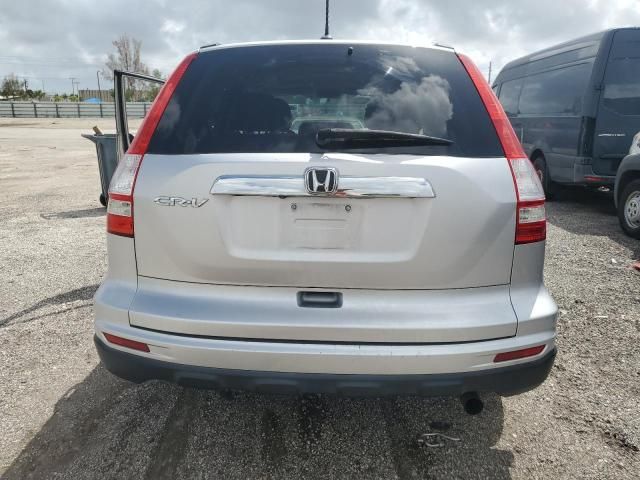 2010 Honda CR-V EXL