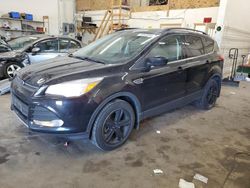 Ford Vehiculos salvage en venta: 2016 Ford Escape SE