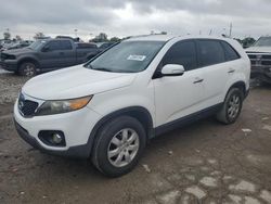 Salvage cars for sale at Indianapolis, IN auction: 2011 KIA Sorento Base