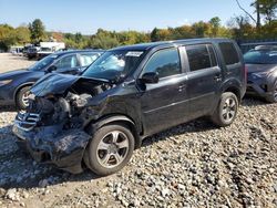 Honda Pilot SE Vehiculos salvage en venta: 2015 Honda Pilot SE