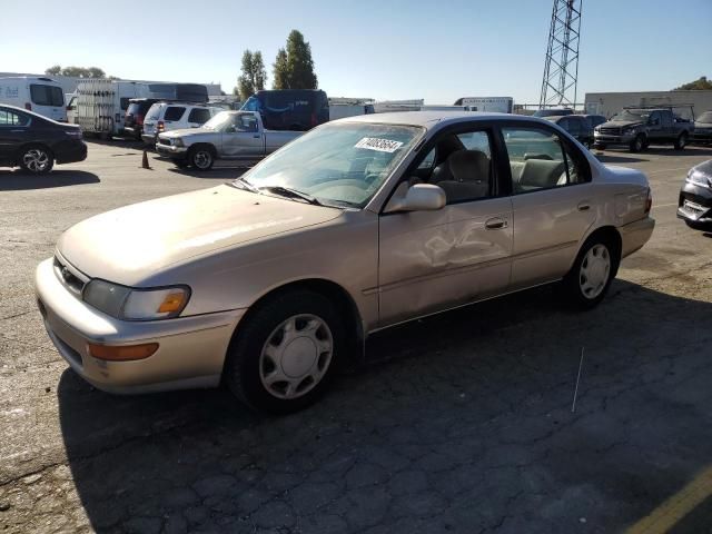 1996 Toyota Corolla DX