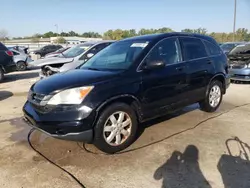 Salvage cars for sale at Louisville, KY auction: 2011 Honda CR-V SE