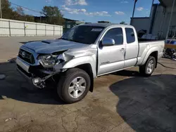 Toyota salvage cars for sale: 2013 Toyota Tacoma