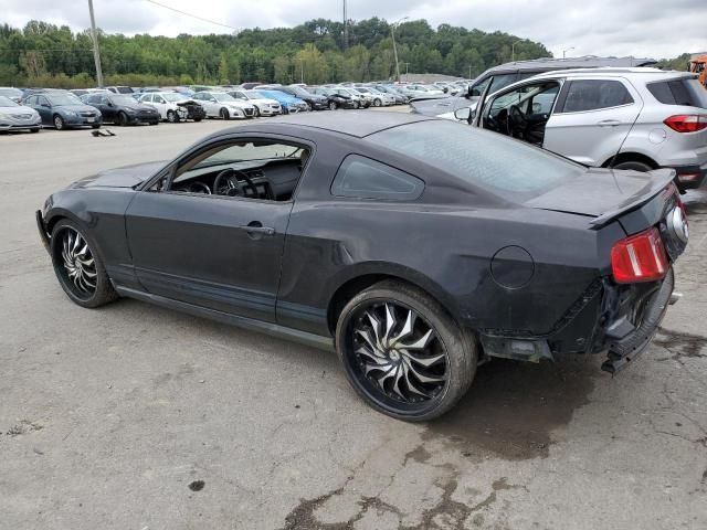 2010 Ford Mustang