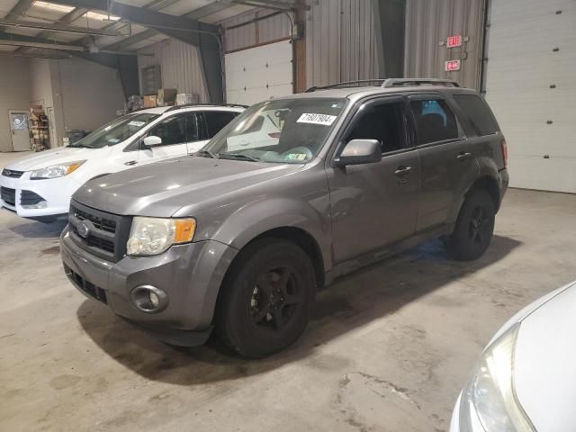 2009 Ford Escape XLT