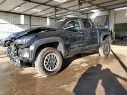 Salvage cars for sale at Brighton, CO auction: 2024 Toyota Tacoma Double Cab