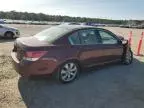 2010 Honda Accord EX