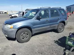 Ford salvage cars for sale: 2005 Ford Escape XLS