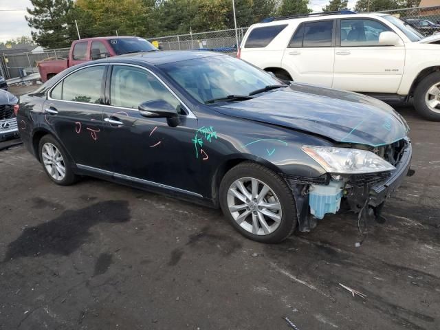 2010 Lexus ES 350