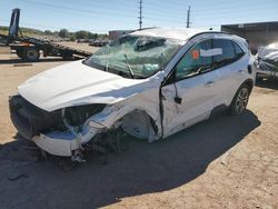 2020 Ford Escape SEL en venta en Colorado Springs, CO