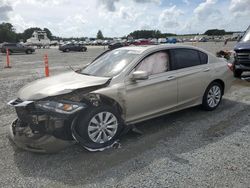 Honda Accord exl salvage cars for sale: 2014 Honda Accord EXL