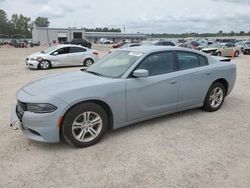 Dodge Charger salvage cars for sale: 2021 Dodge Charger SXT