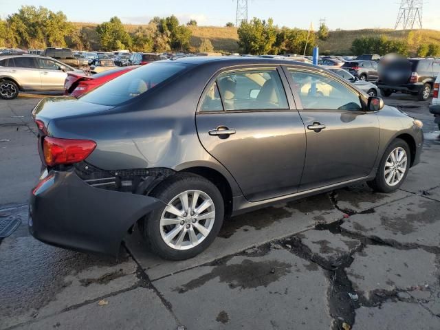 2010 Toyota Corolla Base