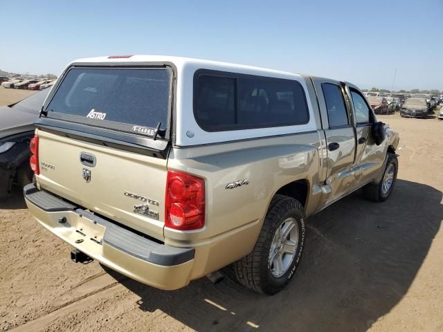 2011 Dodge Dakota SLT