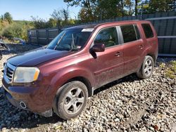 Honda Pilot salvage cars for sale: 2013 Honda Pilot EXL