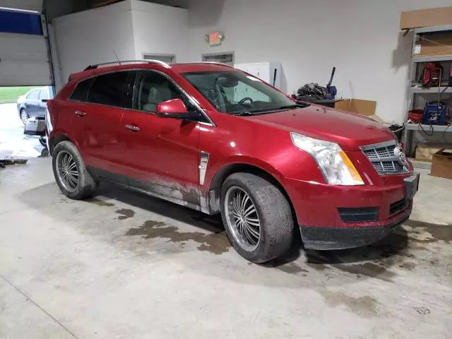 2010 Cadillac SRX Luxury Collection