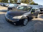 2009 Lexus ES 350