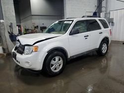 Salvage cars for sale at Ham Lake, MN auction: 2009 Ford Escape XLT