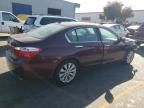 2013 Honda Accord EXL