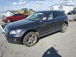 Salvage cars for sale at Airway Heights, WA auction: 2014 Audi Q5 TDI Premium Plus