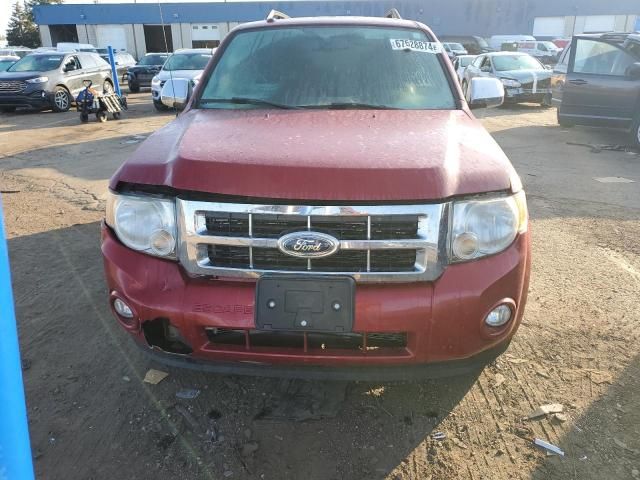 2011 Ford Escape XLT