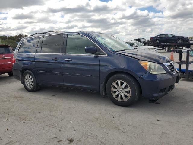 2008 Honda Odyssey EXL