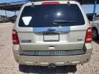 2010 Ford Escape Limited