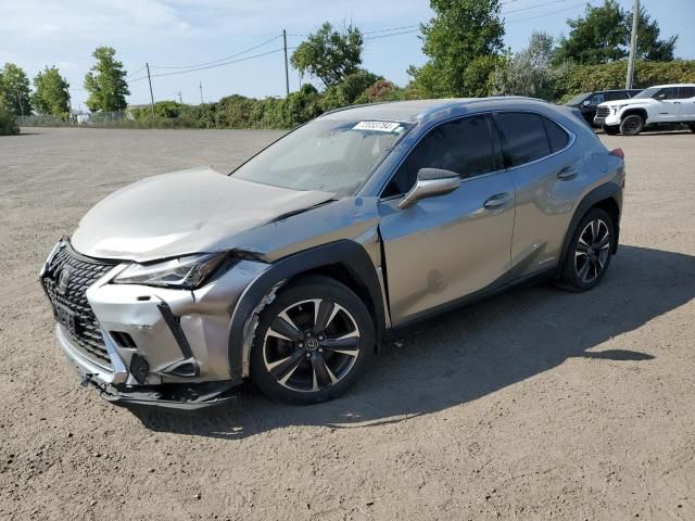 2019 Lexus UX 250H