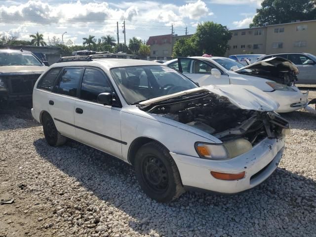 1995 Toyota Corolla Base