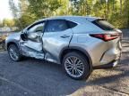 2023 Lexus NX 350H