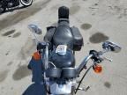 2005 Harley-Davidson XL883 L