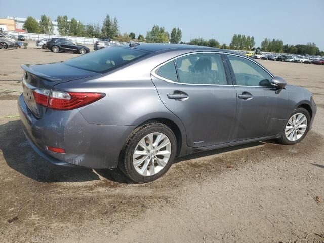 2014 Lexus ES 300H