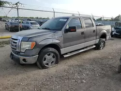 Salvage cars for sale at Houston, TX auction: 2010 Ford F150 Supercrew