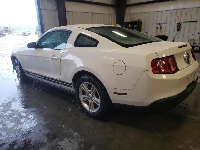 2010 Ford Mustang